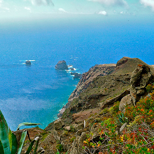 dive yamana el hierro 11