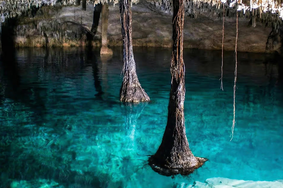 dive yamana water ribera maya 05